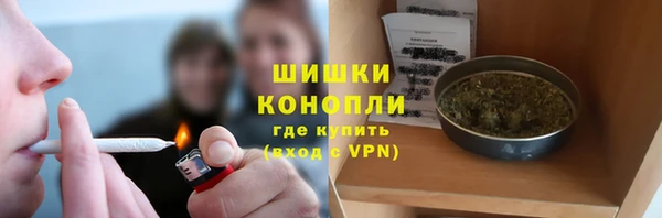 спайс Арсеньев